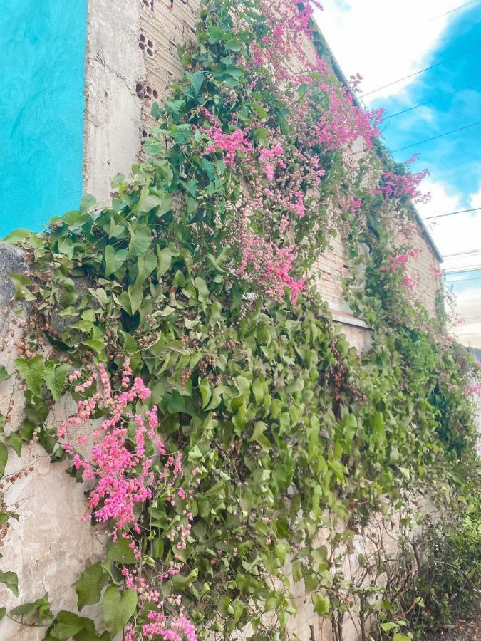Olímpia Pousada Girassol المظهر الخارجي الصورة